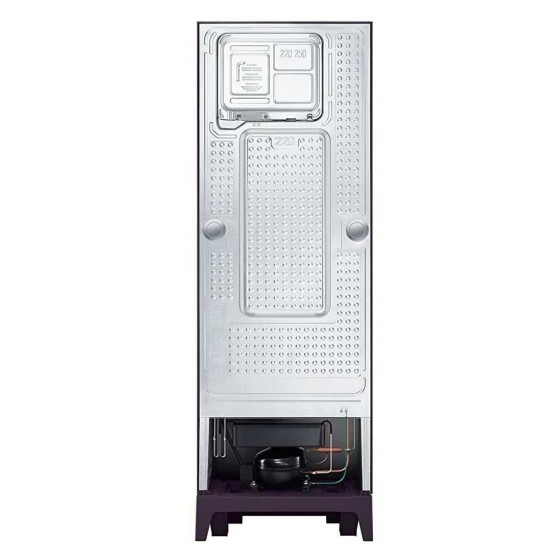 Samsung 253 L Frost free 2 star Inverter Double Door Refrigerator, 2020 Model, RT28T31429R/HL, Paradise Purple