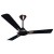 Crompton Aura Prime Anti Dust 900 mm (36 Inch) 3 Blade Ceiling Fan, Onyx