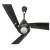 Bajaj Euro NXG Anti-Germ BBD 1200 mm (Rpm 320) 3 Blade Ceiling Fan, Drupe Green