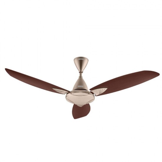 Usha Bloom Primrose 1250 mm 3 Blade Ceiling Fan, Sparkle Golden & Brown