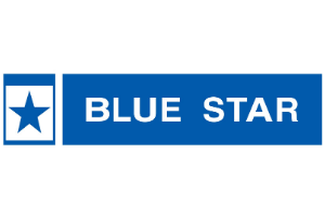 Blue Star Air Purifier