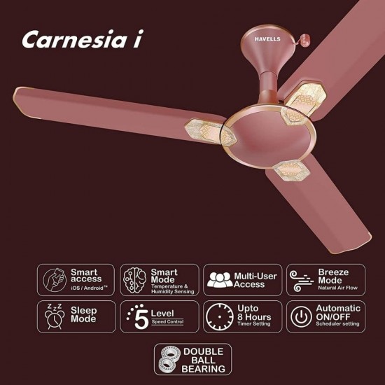 Havells Carnesia I 1200mm 3 Blade Ceiling Fan LT Copper, Pearl Brown