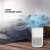 Eureka Forbes AP 150 3-Stage True Hepa H13 Filter & Surround 360° Air Technology Portable Room Air Purifier, White