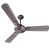 Havells Festiva 1200mm 3 Blade Dust Resistant Ceiling Fan, Espresso Brown Havells Festiva 1200mm 3 Blade Dust Resistant Ceiling Fan, Espresso Brown