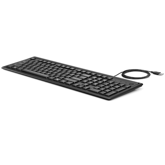 HP 100 Wired USB Computer Keyboard, Black