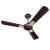 Havells Enticer 1200mm (Rpm 280) 3 Blade Ceiling Fan, Oakwood Havells Enticer 1200mm (Rpm 280) 3 Blade Ceiling Fan, Oakwood