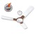Havells Enticer 1200 mm (Rpm 350) 3 Blade Ceiling Fan, Rosewood
