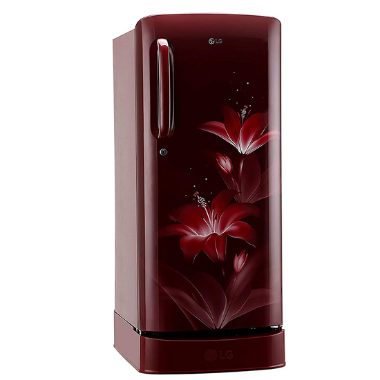 LG 190 L 4 Star Inverter Direct cool Single Door Refrigerator GL- D201ARGY - Ruby Glow 