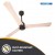 Atomberg Renesa Smart Plus 1200mm BLDC Motor & Remote 3 Blade Smart Ceiling Fan, Natural White Oak