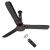 Atomberg Studio Plus 1200mm BLDC motor Energy Saving with Remote Control Ceiling Fan, Brown