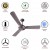 Havells Festiva 1200mm 3 Blade Dust Resistant Ceiling Fan, Espresso Brown Havells Festiva 1200mm 3 Blade Dust Resistant Ceiling Fan, Espresso Brown