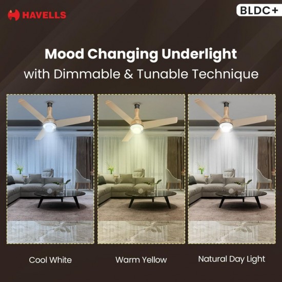 Havells 1200mm Crista Underlight BLDC Ceiling Fan – Champagne Cola
