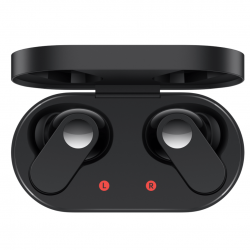 OnePlus Nord Buds E505A In-Ear Truly Wireless Earbuds with Mic, Black Slate