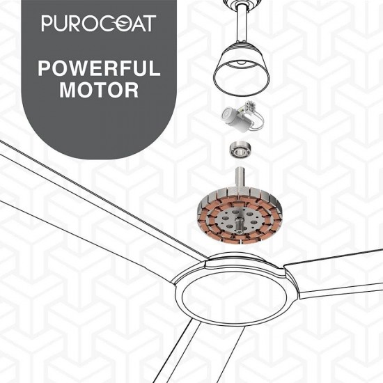 Polycab Euphoria Ep01 1200 mm 3 Blade Anti Dust Ceiling Fan, White Mid Night Blue