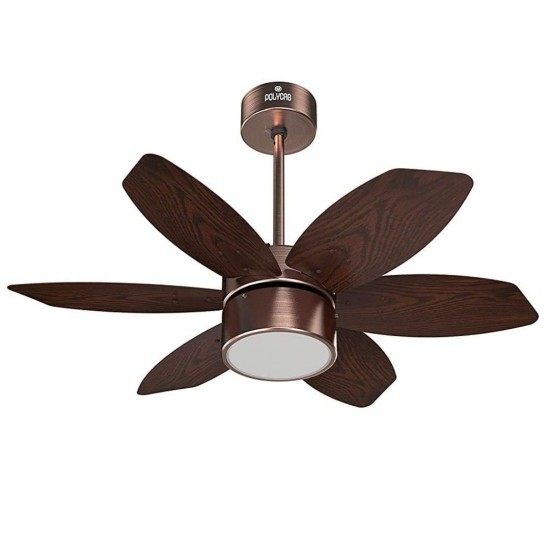 Polycab Superia Lite SP03 800mm 6 Blade with Remote Ceiling Fan, Brown