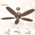 Polycab Superia SP04 1200MM Antique Finish 5 Blade Premium Anti-Rust Ceiling Fan, Antique Copper Rosewood