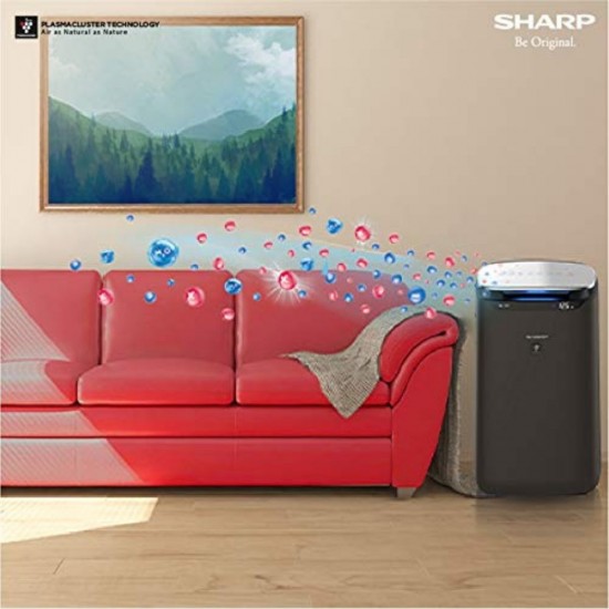 Sharp FP-J80M-H for Homes and Offices Dual Purification - ACTIVE (Plasma Cluster Technology) and True HEPA H14, Carbon, Pre-Filter, Black